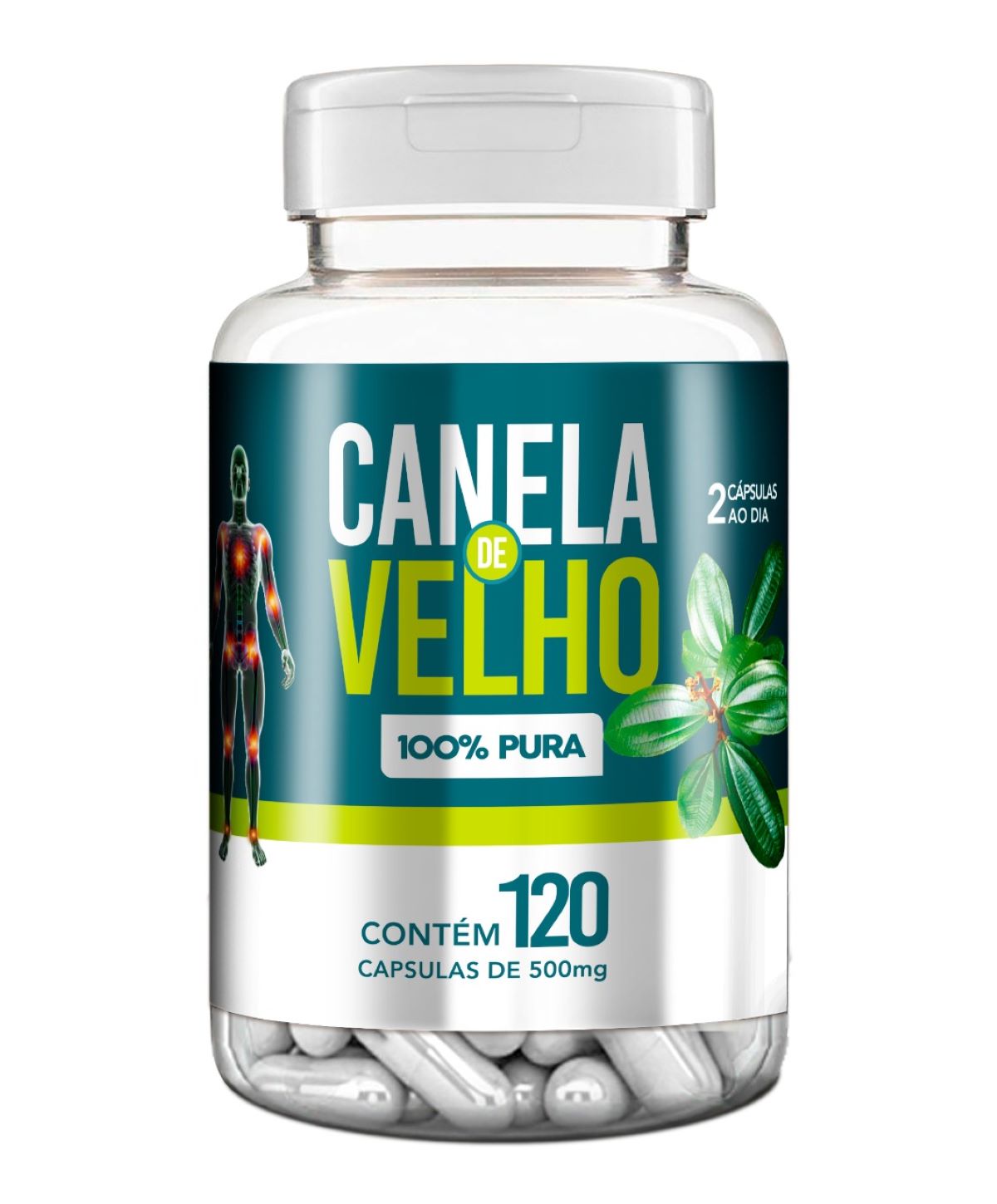 Cápsula Canela de velho 100% pura Natuvite 120 caps